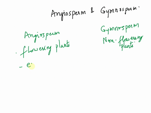 what-are-the-basic-differences-between-gymnosperms-and-angiosperms-00638