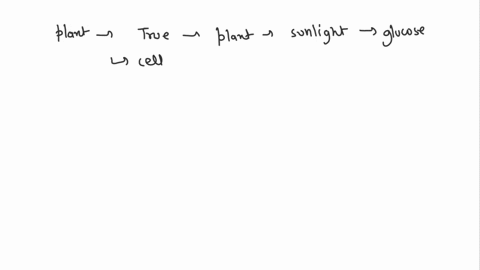 all-living-plant-cells-can-get-all-the-energy-they-need-from-photosynthesis-therefore-they-do-not-require-o2-for-aerobic-respiration-to-produce-energy-true-false-87882