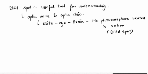 using-the-ierms-provided-complele-the-puragtaph-on-the-blind-spot-demonstration-opic-nerve-oplkc-disc-there-are-no-nene-fibeis-iocated-vhere-the-leave-the-eye-and-enter-ihe-consequenlly-ihis-41364