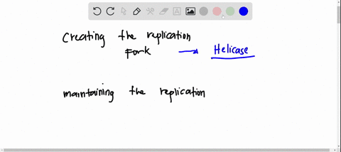 what-proteins-are-crucial-for-creating-and-maintaining-dna-replication-forksa-helicase-creates-the-replication-fork-primase-keeps-the-single-strands-from-closing-shutb-helicase-creates-the-r-14103