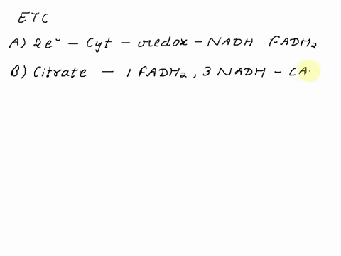 which-statements-describe-electron-transport-chain-events-two-electrons-pass-between-cytochromes-through-series-of-redox-reactions_-citrate-metabolism-results-in-the-formation-of-one-fadhz-a-54277