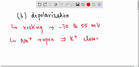 a-movement-of-the-resting-membrane-potential-from-70-to-55-mv-would-be-termed-ana-refractory-period-b-depolarization-c-hyperpolarizationd-ipsp-e-resting-potential-i-know-that-depolarization-59985