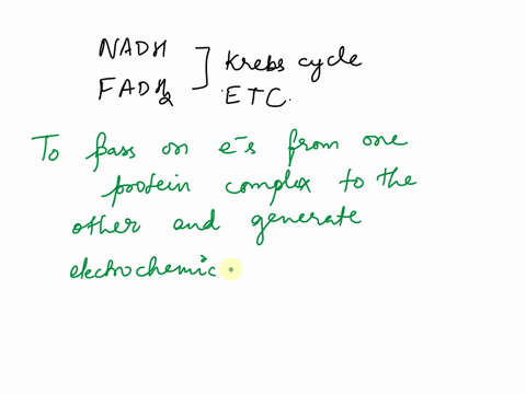 how-does-the-electron-transport-chain-use-the-electrons-carried-by-nadh-and-fadh2-to-pump-protons-give-details-14468
