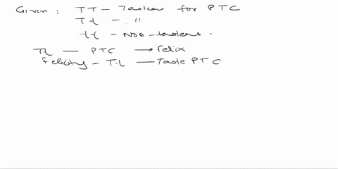 the-ability-to-taste-the-bitter-chemical-phenylthiocarbamide-ptc-is-a-dominant-trait-tasters-are-either-tt-or-tt-non-tastersare-homozygous-recessive-tt-felix-and-felicity-just-started-dating-32924