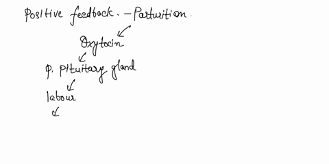 describe-the-positive-feedback-that-is-used-during-parturition-make-sure-to-include-both-hormones-involved-in-parturition_-posterior-pituitary-oxytocin-3-stimulates-positive-feedback-uterine-26937
