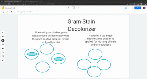 describe-what-will-happen-if-too-much-decolorizer-is-used
