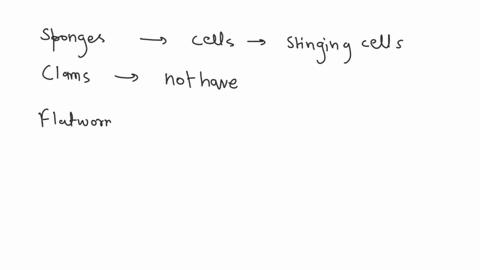 8-the-a-stinging-cells-or-nematocysts-are-characteristic-of-sponges-b-clams-c-cnidarians-d-flatworms-e-roundworms-62133