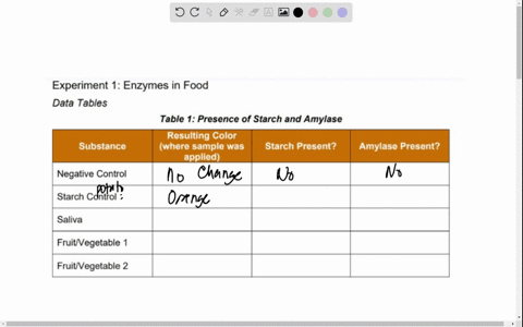 experiment-1-enzymes-in-food-data-tables-table-1-presence-of-starch-and-amylase-resulting-color-substance-where-sample-was-starch-present-applied-amylase-present-negative-control-starch-cont-58747