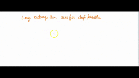 lungs-increase-their-surface-area-for-gas-exchange-through-which-of-the-following-mechanisms-a-the-f-58602