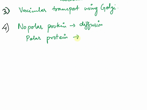 know-the-functions-of-the-membrane-bound-organelles-how-did-membrane-bound-organelles-evolve-into-what-they-are-today-what-features-of-a-protein-are-important-in-determining-which-organelle-93423