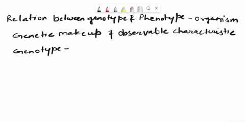 explain-the-genotype-related-to-phenotype-16257