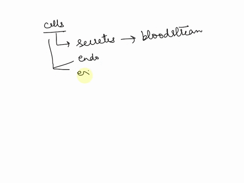 c3-171-an-overview-of-the-endocrine-system-customlzed-cells-that-secrete-chemicals-into-tho-blodstream-which-are-then-carries-away-targot-cells-are-relerred-t0-as-cells-cuplble-card-cardd-ca-52632