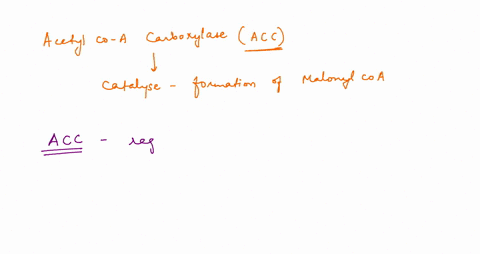 acetyl-coa-carboxylase-acci-catalyzes-the-formation-of-malonyl-coa-in-fatty-acid-synthesis-it-also-the-main-regulated-enzyme-for-faly-acid-metabolism-which-of-the-following-molecules-regulat-55122