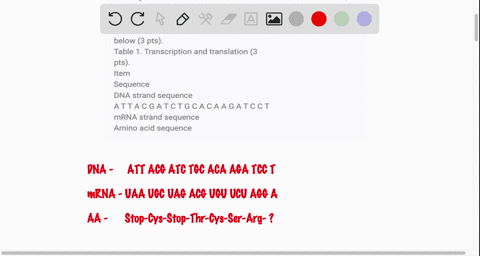 14 given the template strand of dna atg aat atg cct gag tta...