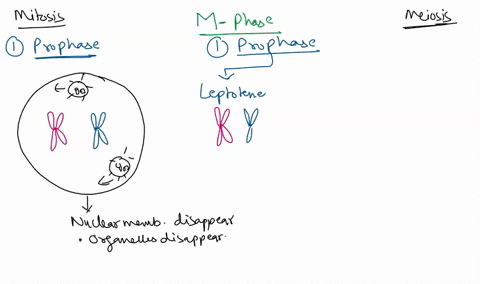 aassignment-17-compare-and-contrast-use-the-helps-for-assignments-to-review-what-is-required-for-compare-and-contrast-exercises-8-points-list-three-processes-that-are-similar-or-the-same-in-71808