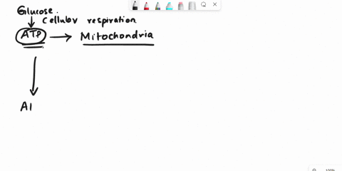 atp-is-formed-from-adp-which-of-the-following-terms-apply-to-this-reaction-click-on-all-that-apply-anabolism-endergonic-oxidation-phosphorylation-exergonic-catabolism-hydrolysis-55727
