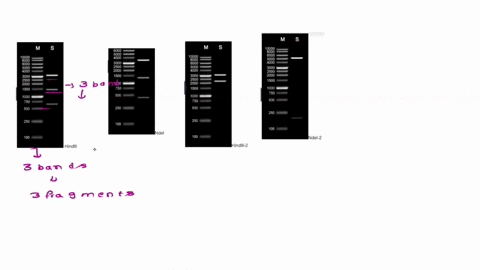 8000-6000-4000-1-2000-500-1000-1500-2000-wavenumber-cm-1-67557