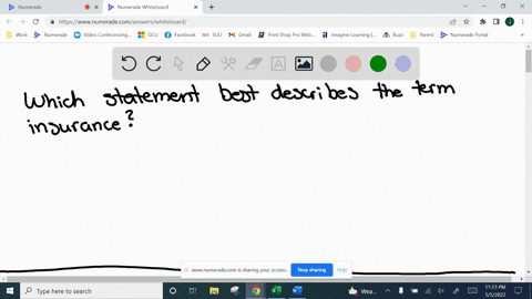 which-statement-best-describes-the-term-insurance-77022