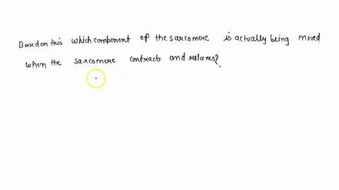 based-on-this-which-component-of-the-sarcomere-is-actually-being-moved-when-the-sarcomere-contracts-and-relaxes-55684