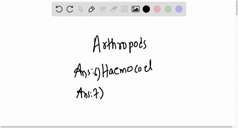 arthropods-have-modified-coelom-in-which-blood-and-body-fluids-mix-this-type-of-body-cavity-is-known-as-list-3-characteristics-that-have-contributed-to-the-success-of-the-arthropods-93652