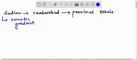 1-how-much-of-the-filtered-sodium-is-reabsorbed-in-the-proximal-tubuleexpress-answer-on-a-percent-basis-and-show-calculations-basis-what-happens-to-the-sodium-that-is-reabsorbed-describe-mec-14613