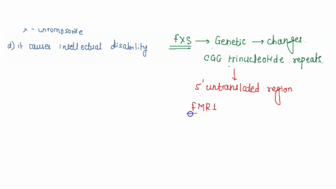 which-of-the-following-is-true-about-fragile-x-syndrome-0-it-affects-males-more-severely-than-females-all-of-these-are-correct-0-itis-caused-by-j-mutation-that-expands-a-cgg-triplet-repeat-o-51831