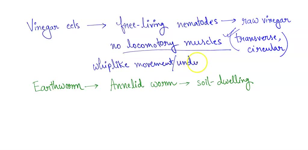 SOLVED Explain why vinegar eels (Turbatrix aceti) are not capable of the same type of movement