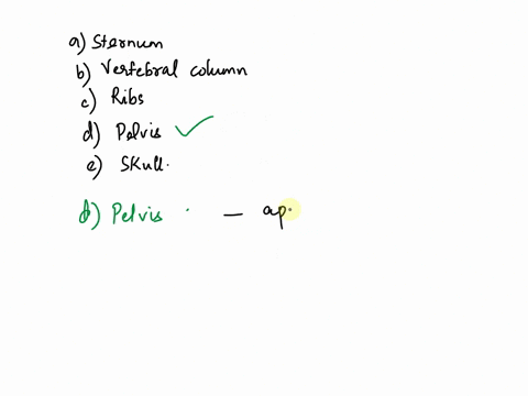 b3-which-of-the-following-is-not-a-part-of-the-axial-skeleton-sternum-vertebral-column-ribs-pelvis-skull-07902