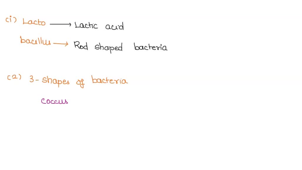 SOLVED: Understanding the shape of this bacterium supports bacillus