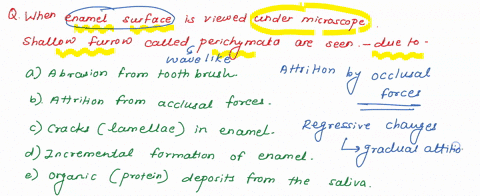 when-enamel-surface-is-viewed-under-the-microscope-shallow-furrows-called-perikymata-are-seen-these-are-likely-to-be-due-to-abrasion-from-tooth-brush-attrition-from-occlusal-forces-cracks-la-97177