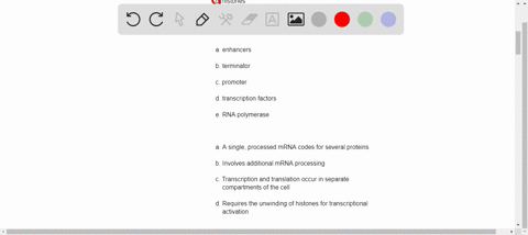 20-dna-methylation-may-be-a-significant-mode-of-genetic-regulation-in-eukaryotes-what-does-dna-methylation-refers-to-seleccione-una-a-binding-of-methyl-groups-to-rna-polymerase-b-altering-tr-20207