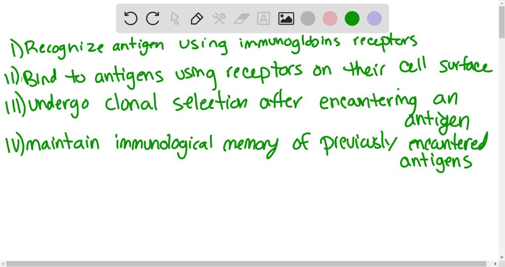 SOLVED: Which Of The Following Are Similarities Between B Cells And T ...