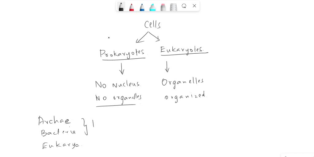 SOLVED Statement I All prokaryotes have a cell wall, eukaryotes do