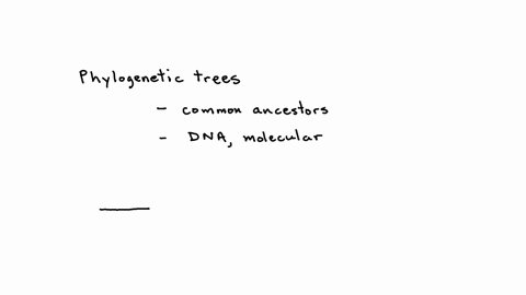 question-54-phylogenetic-trees-are-best-described-as-oa-true-and-inerrant-statements-about-evolutionary-relationships-b-hypothetical-portrayals-of-evolutionary-relationships-c-the-most-accur-56332
