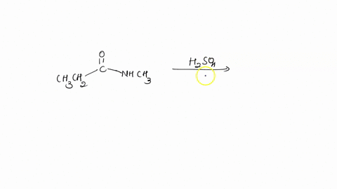 14_-h2so4-ch3ch2-nhch3-a-propanal-ammonia-b-ethanoic-acid-ammonia-c-propanoic-acid-methylamine-d-ethanoic-acid-methylamine-15_-liaih4-och3-hsot-a-methanol-ethanol-b-methanol-propanol-c-ethan-45682