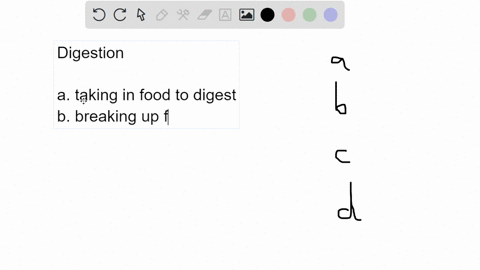 which-of-these-processes-occurs-in-the-mouth-a-ingestion-b-mechanical-digestion-c-chemical-digestion-72919
