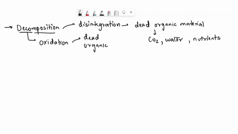 describe-the-process-of-decomposition-in-your-answer-include-which-groups-of-organisms-are-primarily-responsible-for-this-process-and-how-they-affect-both-carbon-and-nitrogen-cycling-from-li-80843