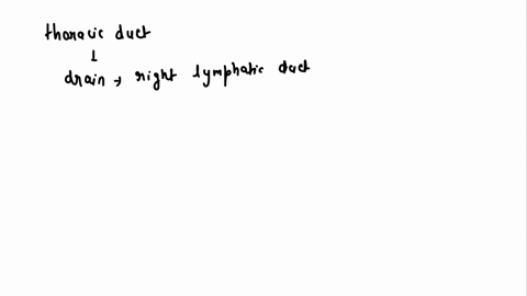 does-the-thoracic-duct-drain-into-the-right-lymphatic-duct-post-circulation-and-vice-versa-i-can-find-the-listing-of-body-parts-drained-by-the-right-lymphatic-duct-and-thoracic-duct-easily-b-25963