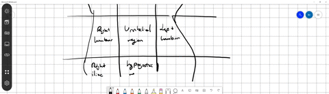 a-make-a-diagram-showing-the-nine-abdominopelvic-regions-and-name-each-region-name-two-organs-or-parts-of-organs-that-could-be-located-in-each-of-the-named-regions-b-make-a-similar-sketch-illustrati-2