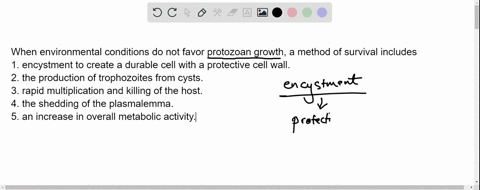 when-environmental-conditions-do-not-favor-protozoan-growth-a-method-of-survival-includes-encystment-to-create-a-durable-cell-with-a-protective-cell-wall-the-production-of-trophozoites-from-63733