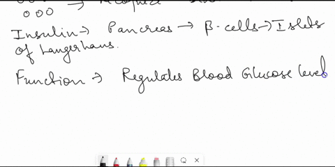 endocrine-system-describe-the-general-features-of-the-endocrine-system-including-how-hormones-are-transported-between-an-endocrine-gland-and-its-target-organs-describe-the-action-of-insulin-80618