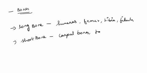 which-of-the-following-correctly-matches-the-bone-type-with-an-example-long-bone-vertebra-irregular-bone-femur-short-bone-humerus-flat-bone-phalanges-of-the-toes-short-bone-carpal-bone-23252