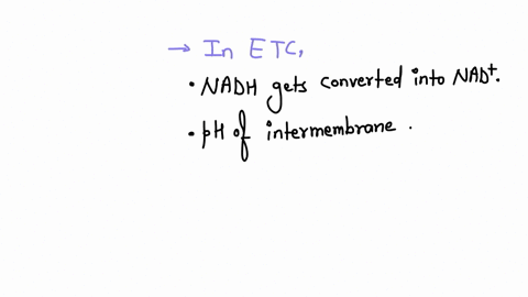 which-of-the-following-happens-when-electrons-flow-through-the-electron-transport-chain-nadis-reduced-to-nadh-the-ph-of-the-intermembrane-space-increases-water-is-split-to-provide-electrons-12153