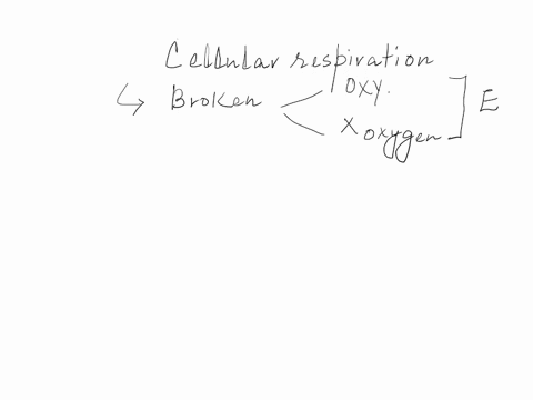 which-organism-is-not-likely-to-carry-out-cellular-respiration-62707