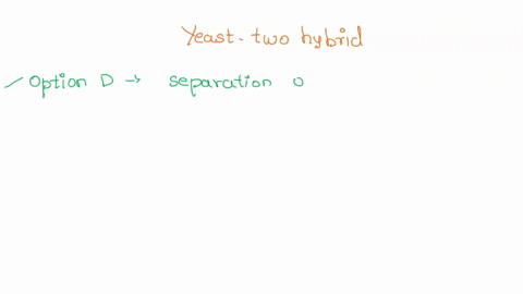 in-the-yeast-two-hybrid-system-interaction-of-two-proteins-is-confirmed-by-what-transcription-of-the-reporter-gene-lacz-attachment-of-the-bait-protein-to-the-binding-domain-of-the-activator-84133