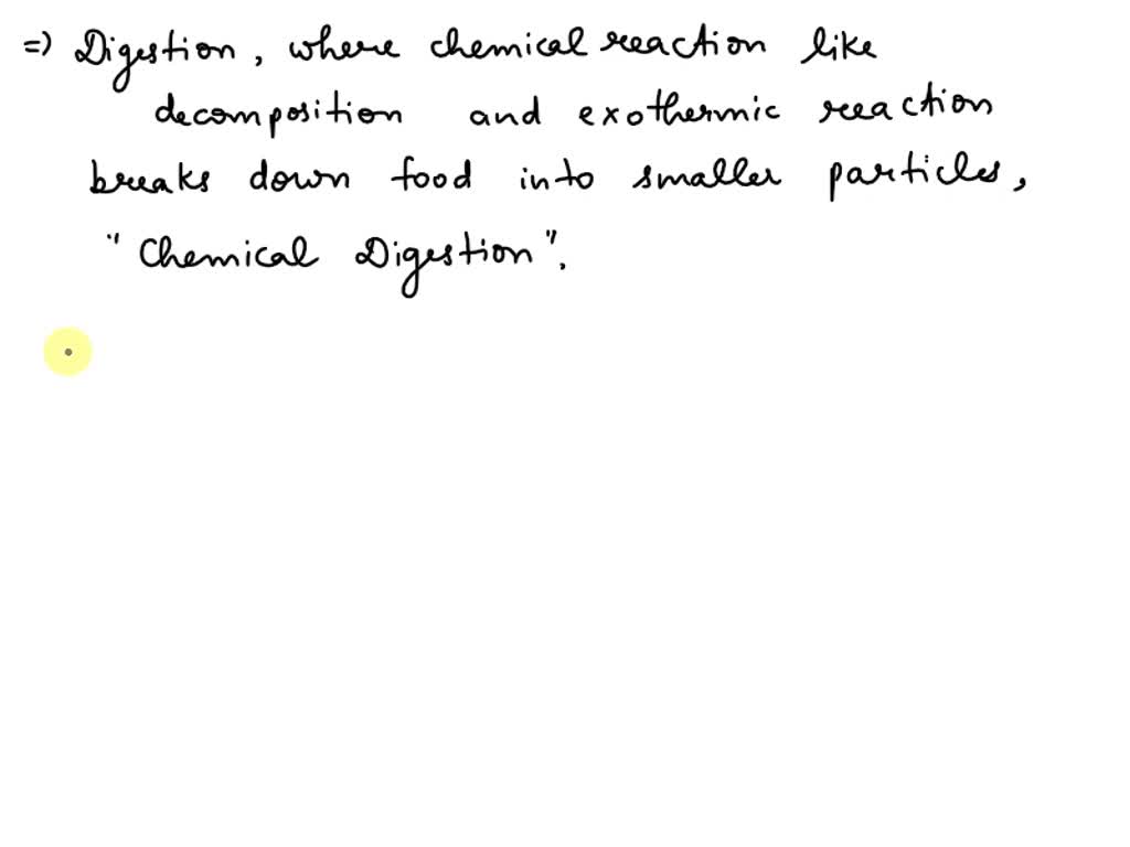 SOLVED Mechanical breakdown in the stomach converts the food into a liquid called