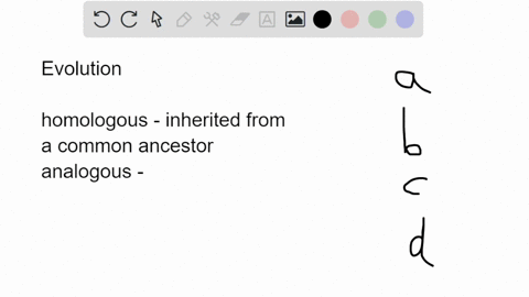 through-_________-a-body-part-of-an-ancestor-is-modified-differently-in-different-lines-of-descent-a-58002