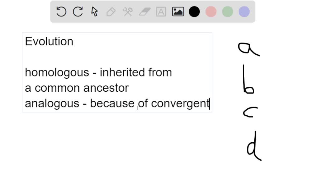 SOLVED: What kind of features can convergent evolution lead to? A ...