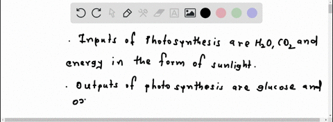 1-what-are-the-inputs-and-outputs-of-photosynthesis-2-at-night-when-plants-are-not-in-direct-sunlight-what-effect-would-you-expect-to-happen-to-the-amount-of-oxygen-produced-3-what-organelle-74457