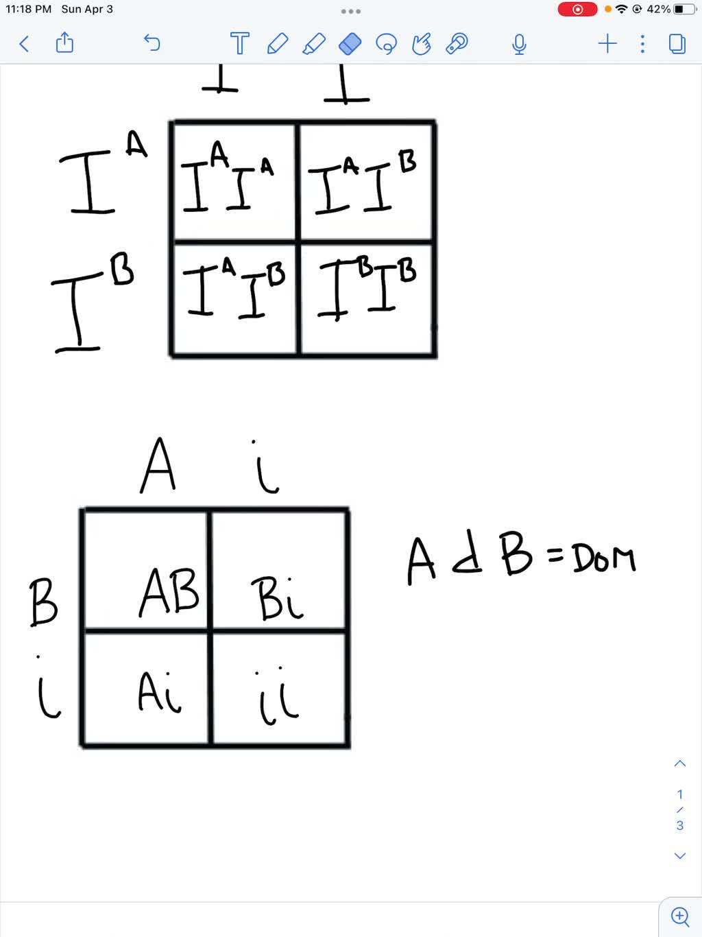 SOLVED Tracy Has A Blood Type Of AB And Her Husband Trevor Has AB 